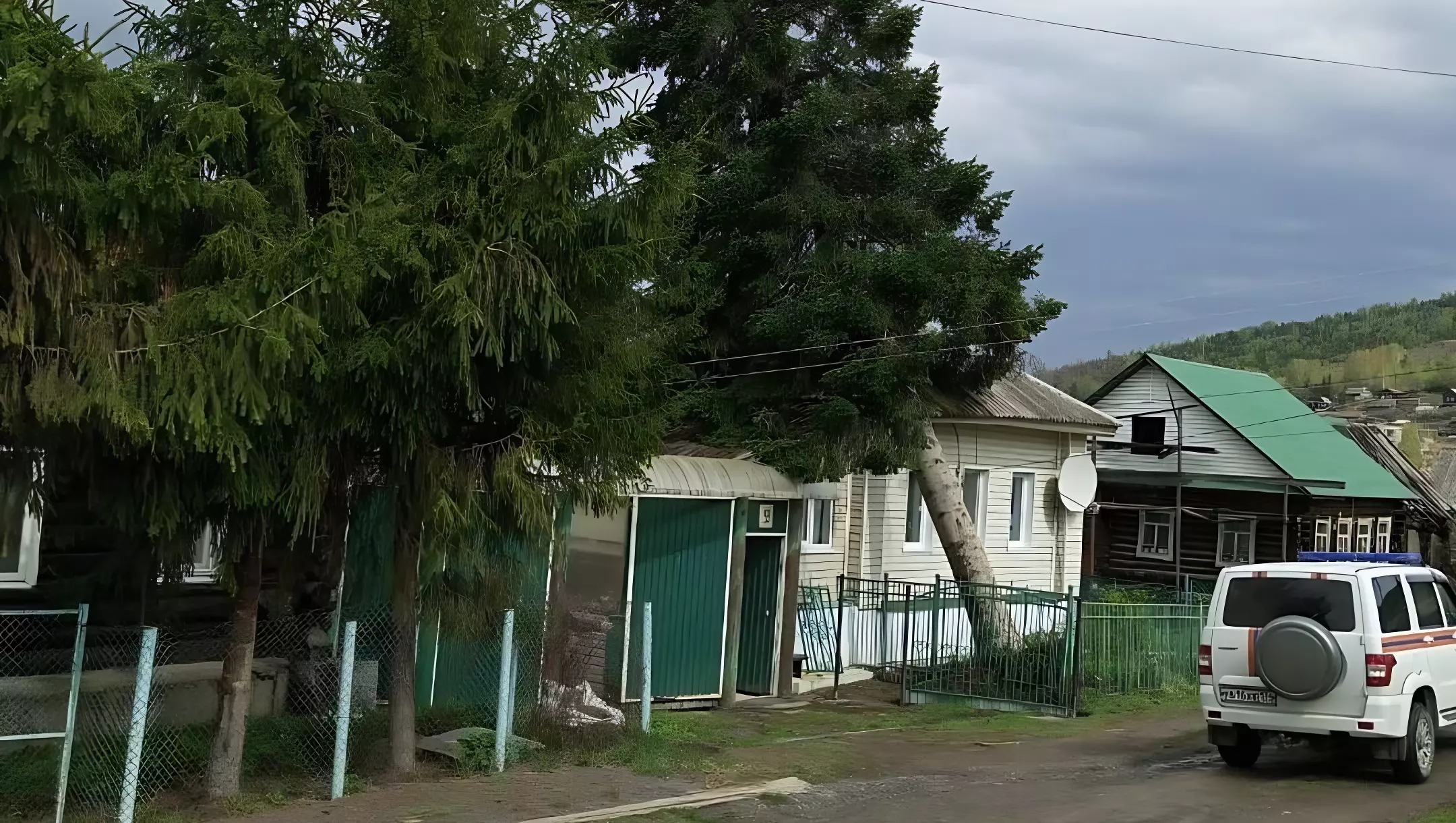 Спасатели предотвратили падение 63-летней пихты на жилой дом в Усть-Катаве