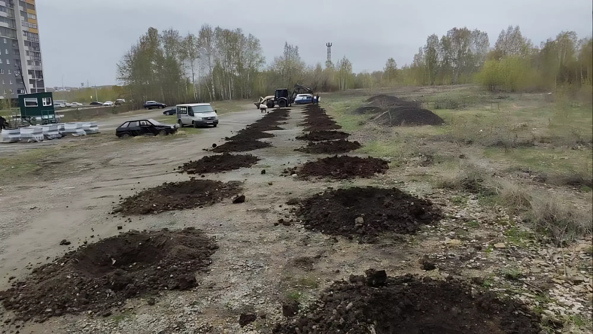 В Челябинске высадят 60 сосен