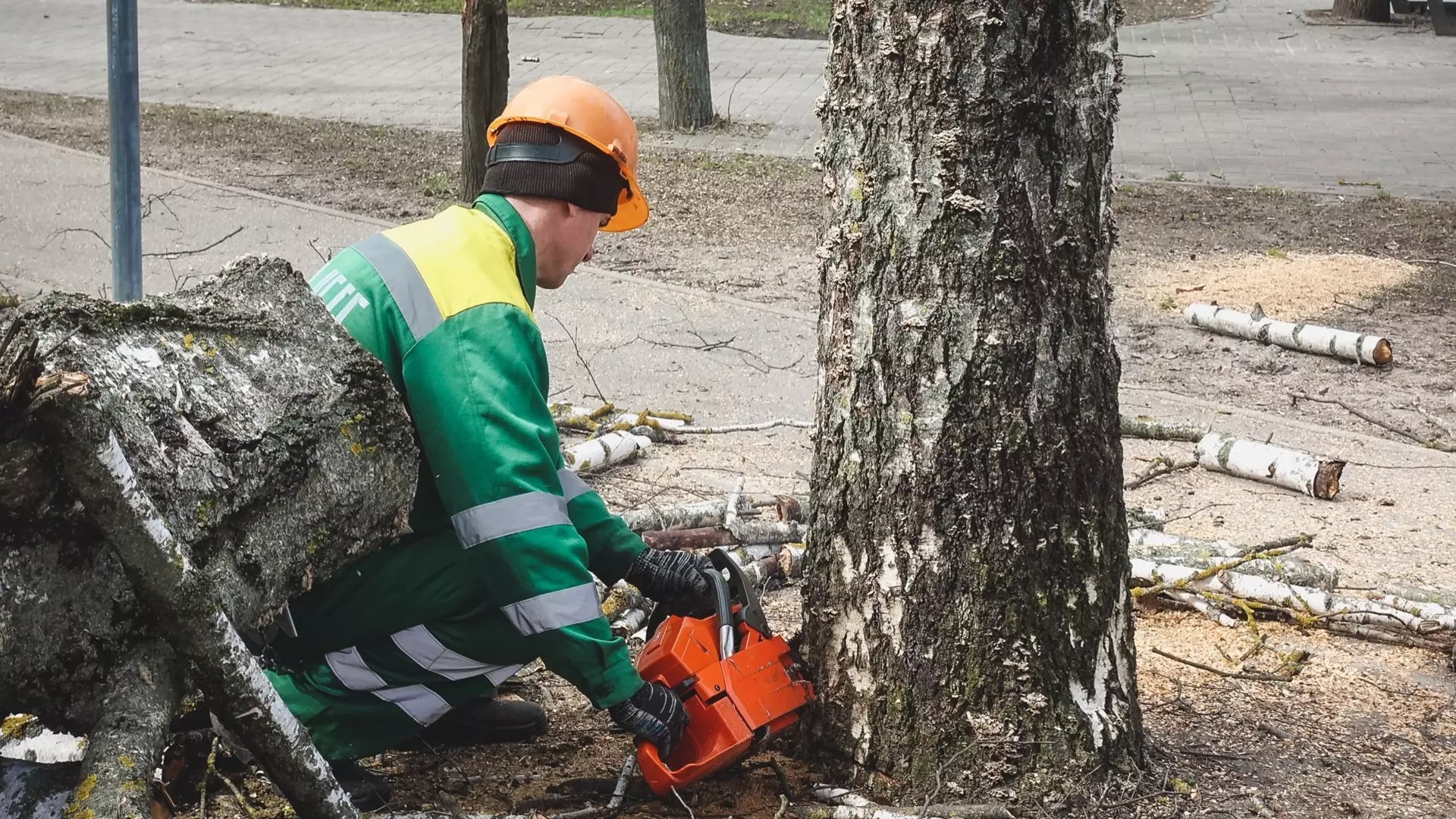 Аварийные деревья сносят в Челябинске